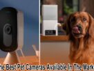 The Best Pet Cameras Available In The Market